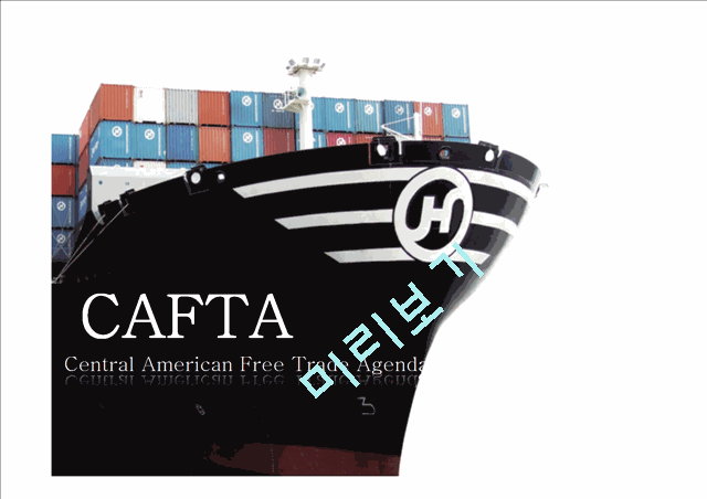CAFTA(Central American Free Trade Agenda) 영문분석   (1 )